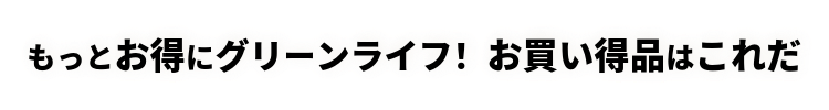 もっとお得にグリーンライフ！お買い得品はこれだ